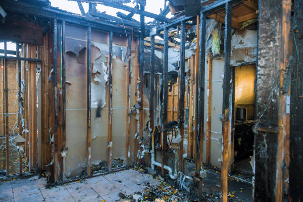 Professional Fire Damage Removal technician working in Belleair Beach, FL