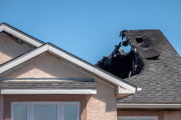 Top rated local Fire Damage Removal specialists in Belleair Beach, FL